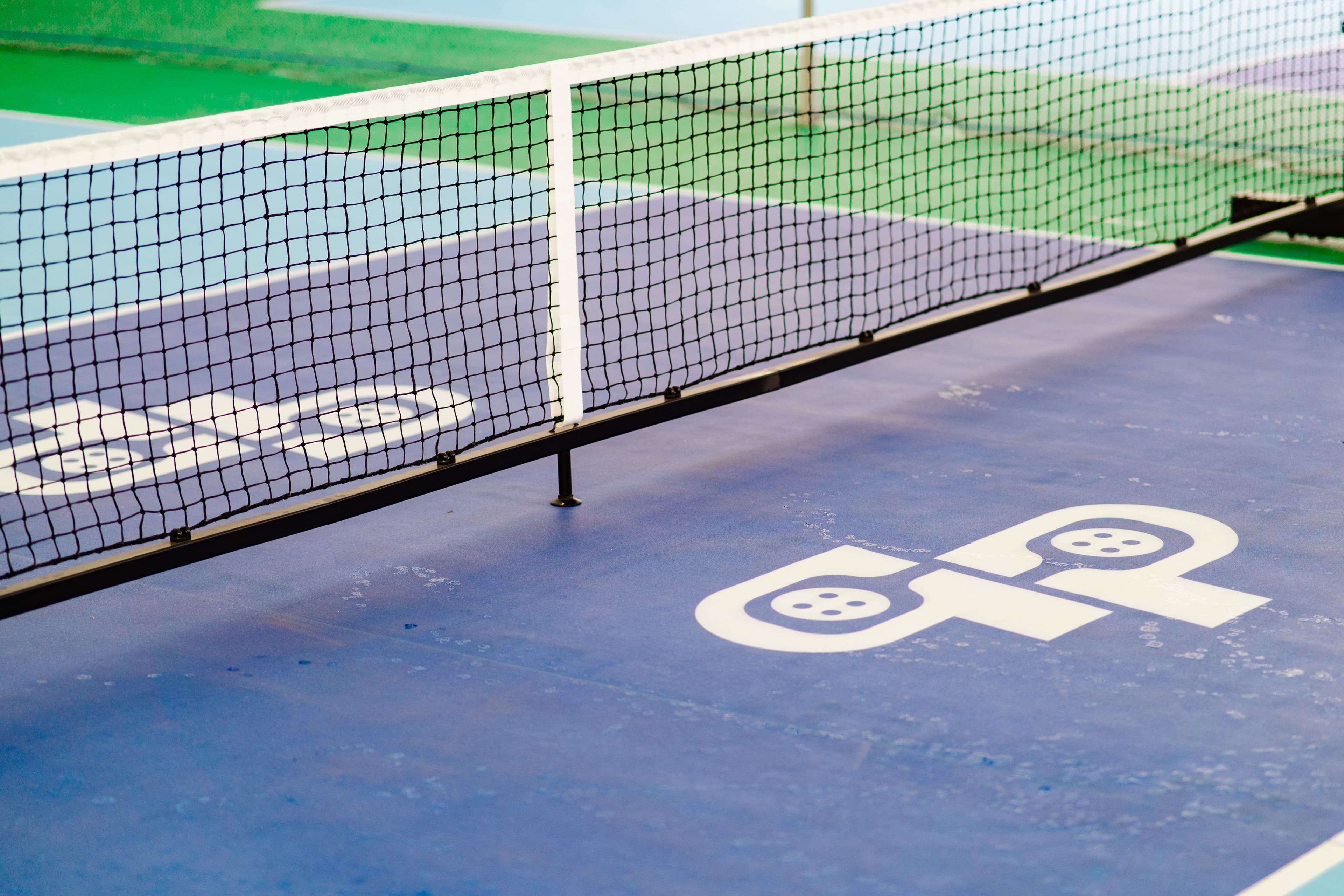 PicklePark indoor court surface